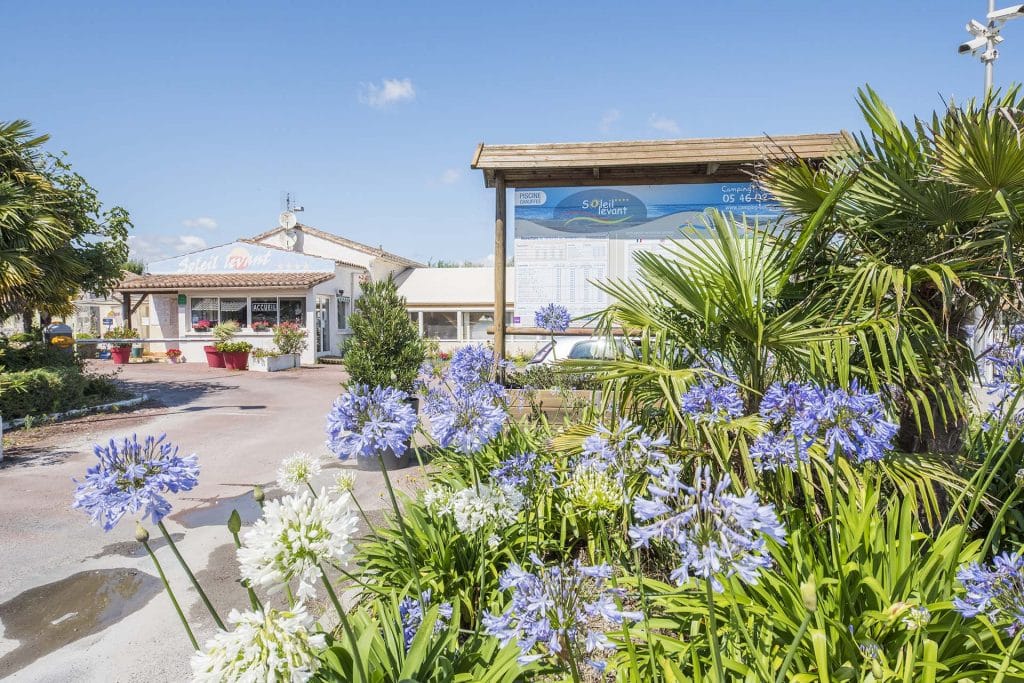 Séjour au Camping 4 étoiles Soleil Levant à Meschers sur Gironde