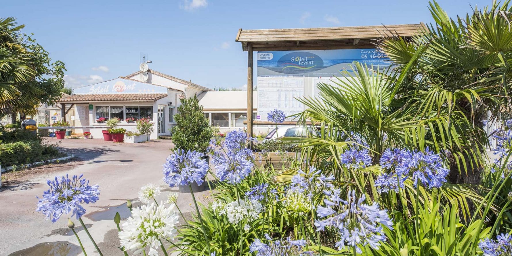 Camping 4 étoiles Soleil Levant à Meschers-sur-Gironde en Charente-Maritime