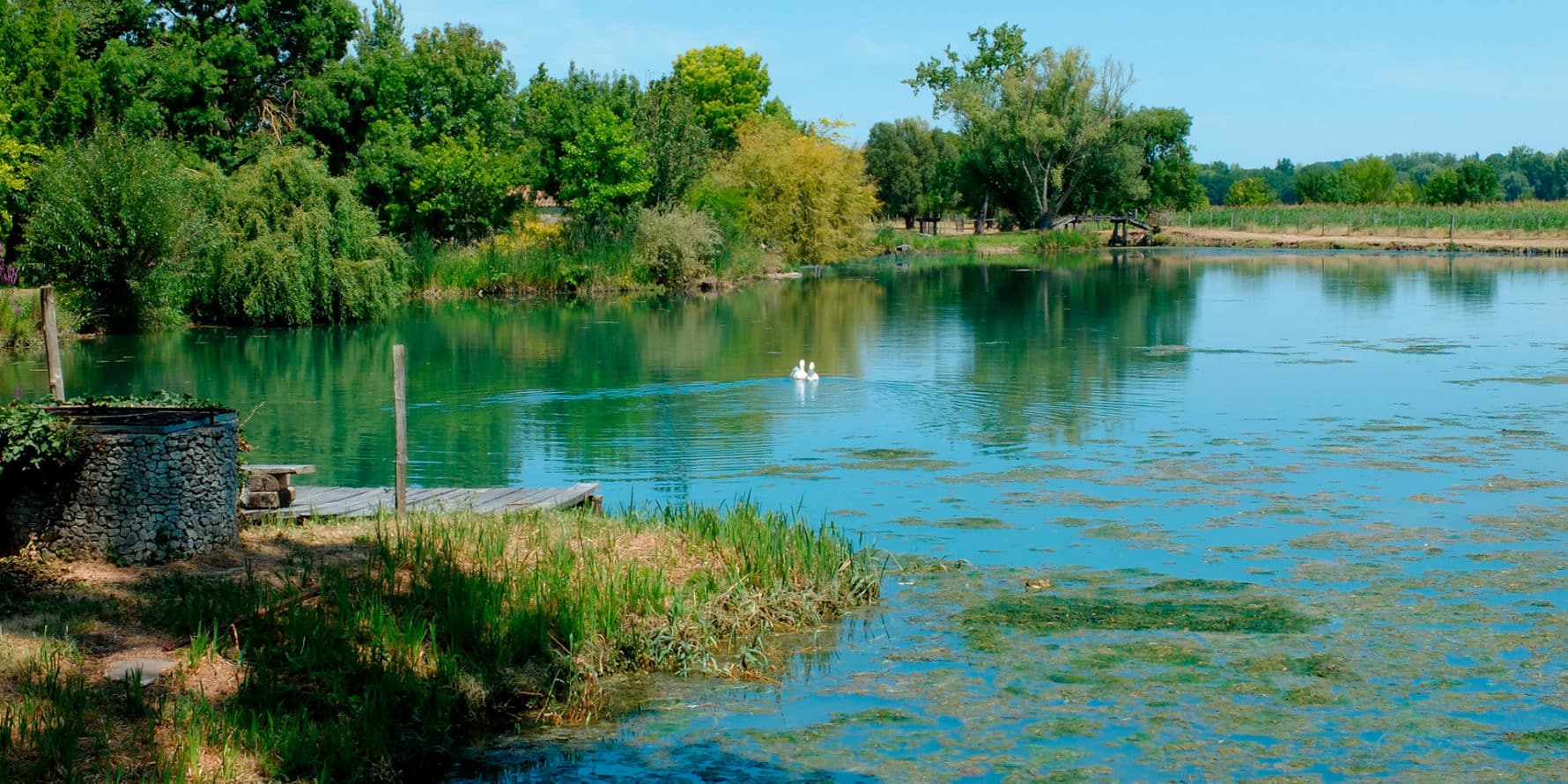 Etang de Vitrezay près du camping Soleil Levant