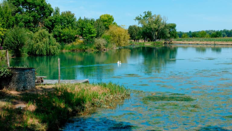 Etang de Vitrezay près du camping Soleil Levant