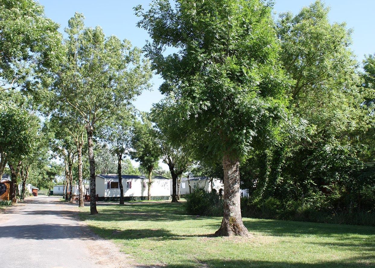 Camping Ribes à Meschers-sur-Gironde